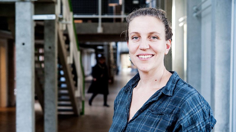 Fortid bliver til nutid i historiefagets læremidler