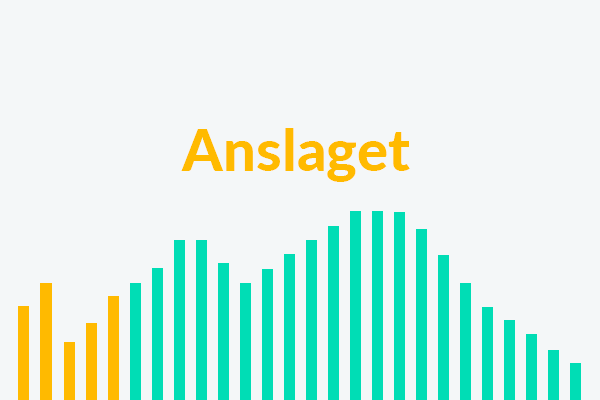 Undervisningens anslag